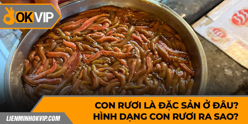 Con Rươi Là Đặc Sản Ở Đâu? Hình Dạng Con Rươi Ra Sao?