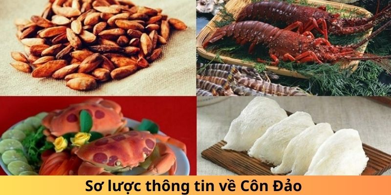 Sơ lược thông tin về Côn Đảo