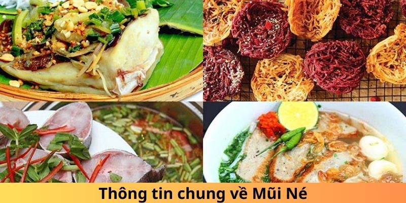 Thông tin chung về Mũi Né