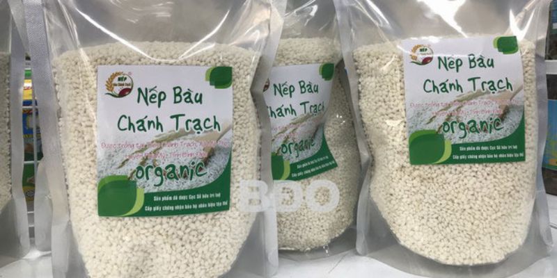 Nếp 3 tháng Chánh Trạch