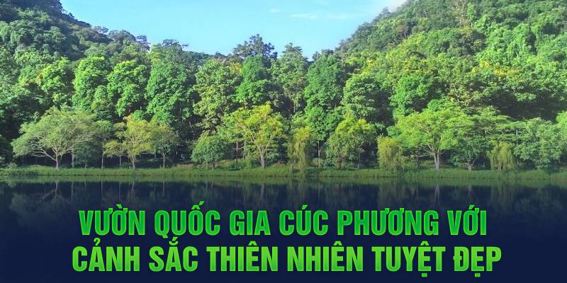 Vườn Quốc gia Cúc Phương với cảnh sắc thiên nhiên tuyệt đẹp